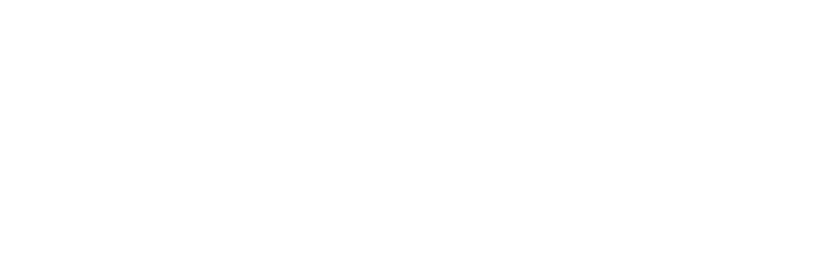 Sibylle Schmitt, Rechtsanwältin